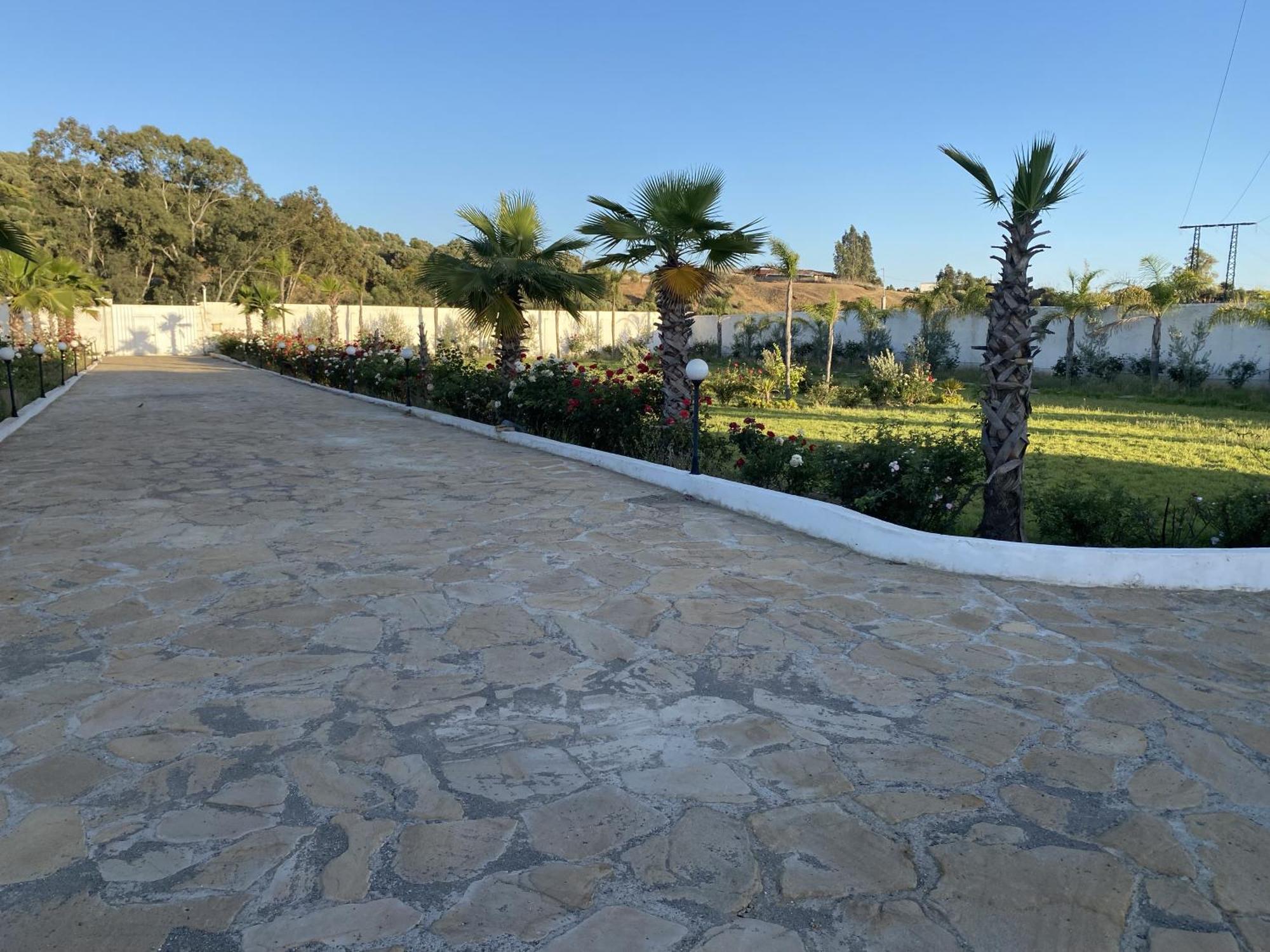 Ecohame - Oeko-Hain - Ecohaven - Ecobrio Guitar Palace Bni Quolla Exterior photo